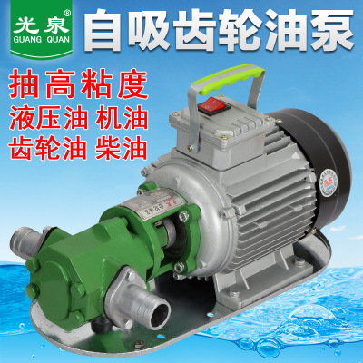 光泉齿轮泵 卸柴油液压机油微型不锈钢220v小型防爆wcb电动抽油泵