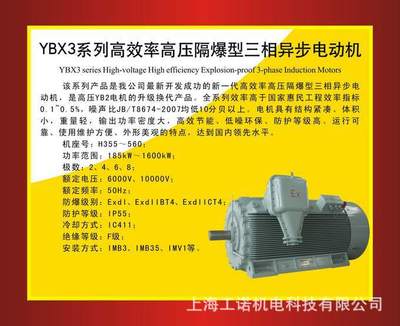 南阳防爆YBX3系列高效高压隔爆型异步电动机
