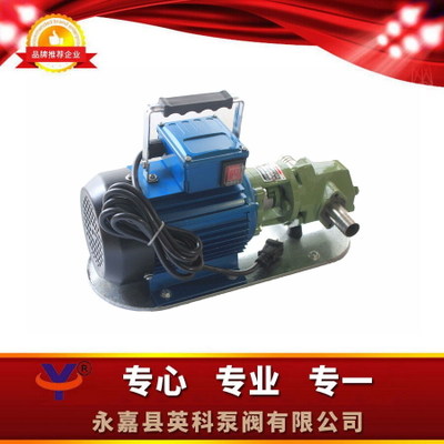 厂家供应WCB75小型手提式齿轮油泵轻型便携式油泵输送机油柴油泵