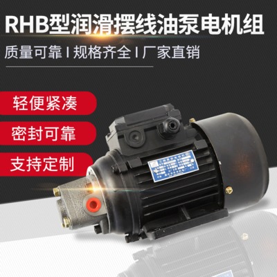 厂家直销RHB型润滑摆线油泵电机组微型润滑泵电机装置 电动润滑泵