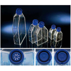 实验耗材NUNC 25cm2细胞培养瓶 密封盖培养瓶 [ 货号：156367]