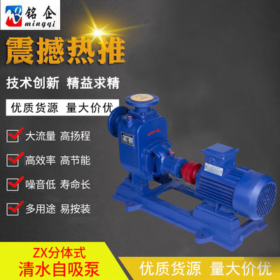 ZX分体式自吸泵 工业铸铁清水泵 提升增压泵 卧式离心水泵 65口径