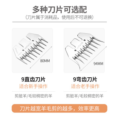 电动羊毛剪专用刀片羊毛推子刀片直齿13弯齿刀片正品剃羊毛