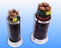 金环宇电缆国标铠装低压电力电缆厂家直销WDZ-YJY23-3*10mm2