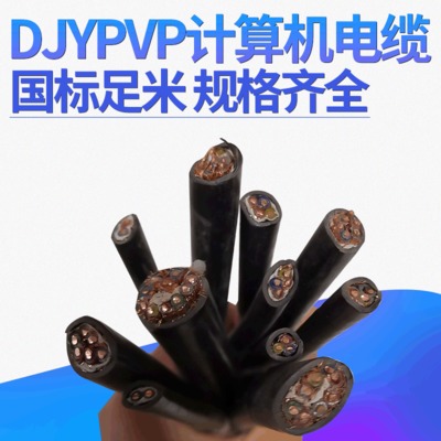 DJYPVP计算机屏蔽电缆 国标铜芯无氧铜信号电缆 铠装屏蔽电缆