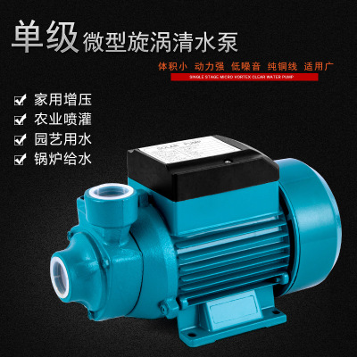 直流QB60离心旋涡清水泵电瓶水泵12v24v48v60v高扬程自吸泵外贸