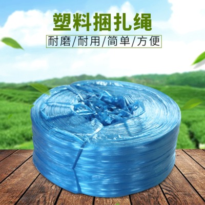 厂家直销 塑料捆扎绳打包塑料绳 pp草绳塑料绳厂家 绿化绳子