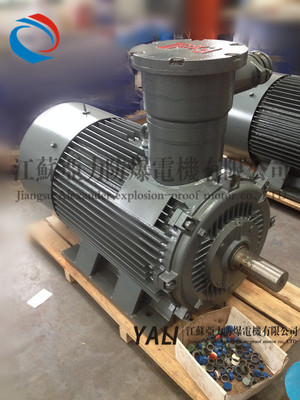 直供YB2/YB3-355S1-2-200KW  节能高压防爆电机 矿用特种电机厂家