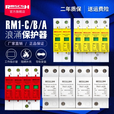 防雷 浪涌保护器 RM1-C40 2P/4P T1级 家用防雷电涌保护器