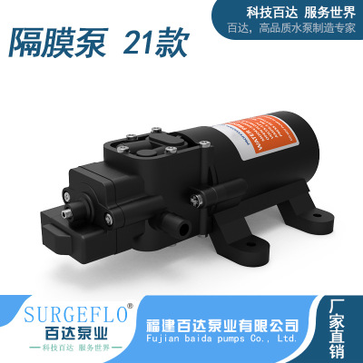 21款直流电动喷雾自吸隔膜泵12V24V微型小水泵往复式高压洗车泵