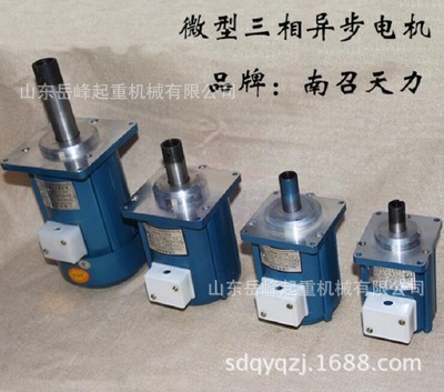 批发YDT250-2、250W制动器微型电机