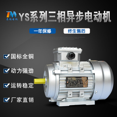 供应YS7144-0.75KW-4极立式三相异步电动机 微型铝壳电机国标全铜