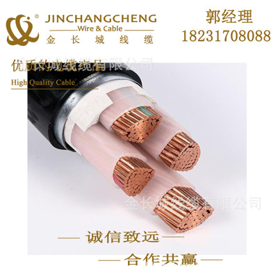 电线电缆厂家 铜芯铠装国标 YJV22 0.6/1KV     3*300+1