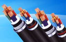 环威电缆 VV电力电缆 VV1*50mm2电缆 工程电缆 国标 现货