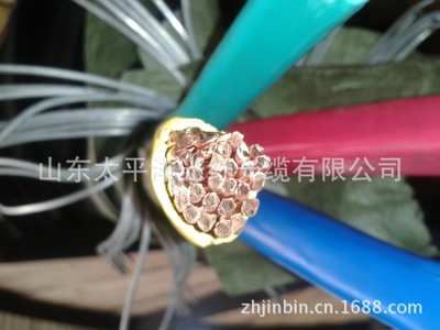 供应太平洋光缆阻燃软电缆 铜芯绝缘电缆 RVVZ