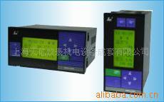 供应SWP-LCD-NLT天然气流量积算仪