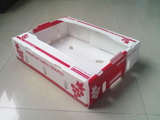 塑料中空板水果箱 塑料包装容器 塑料盒