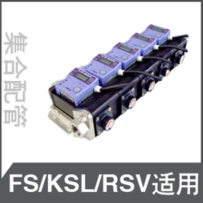 供应日本RGL 微型流量计用(适用FS、KSL、RSV) 节流装置 集合配管
