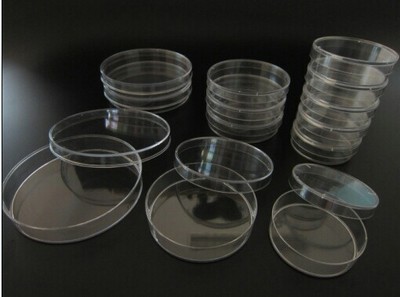 大量供应玻璃培养皿玻璃平皿细胞培养皿