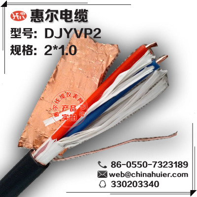 DJYVP2-2*1.0铜箔屏蔽计算机控制电缆南京六合区厂家直销