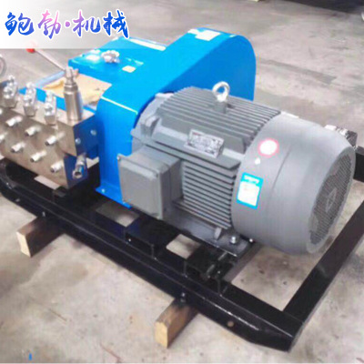 厂家热销高压泵 变频三柱塞高压往复泵 可支持定制不锈钢泵配件