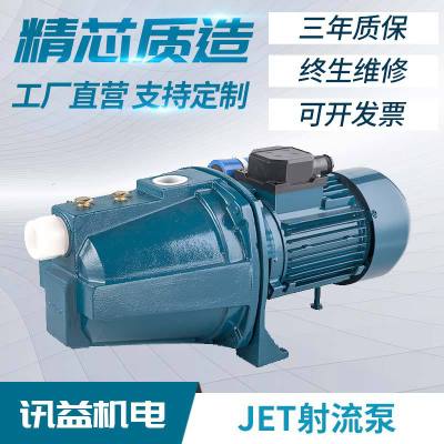 喷射泵JET100家用小型增压自吸220V高压浇灌喷泉750w/1000w射流泵