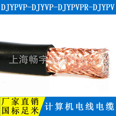 供应DJYP2V(R)P2计算机电缆 双层屏蔽 上海起帆 厂家直销 国标