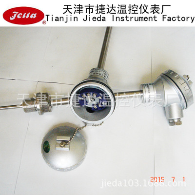 天津厂家生产Pt100/一体化/铠装热电阻/温度传感器BWZP.K-236