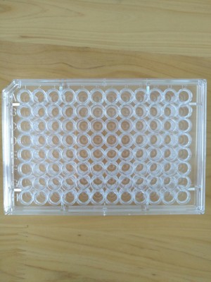 优惠直销教学仪器实验器材耗材96孔U形底塑料细菌培养板酶标板