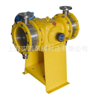 加药泵，隔膜式计量泵DJ-D2-3000/0.3大流量计量泵，上海计量泵