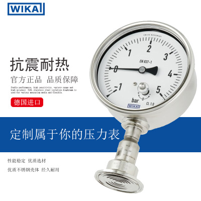 威卡WIKA型号 DSS22P德国进口工业标准的隔膜密封压力表