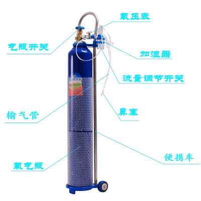 氧气瓶 厂家定做家用便携式气瓶 15升医用氧气瓶 便携式氧气瓶