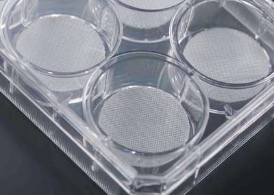 供应3D培养皿培养板  3D细胞培养支架