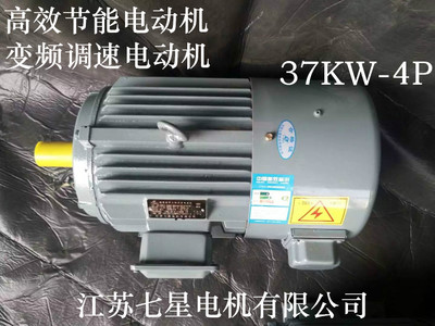 厂家直销 高效节能 变频调速电动机 YVP系列 37KW-4P 卧式