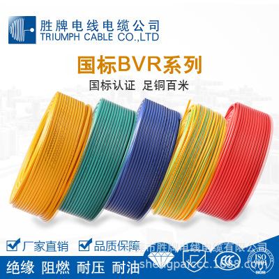 胜牌电线 裸铜线 BVR4.0平方 PVC 铜芯绝缘导线 电气设备连接线