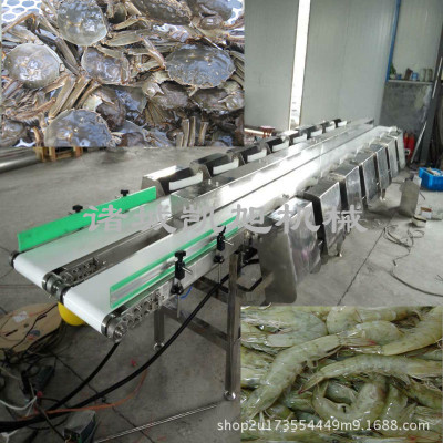 专业定制龙虾自动重量检测分选机 对虾/螃蟹大小自动分拣机器