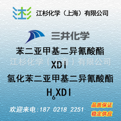 苯二亚甲基二异氰酸酯(Takenate 500,XDI)，（氢化）H6XDI