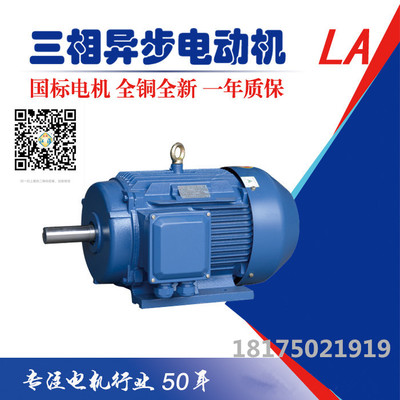 YE2系列六安江淮电机，国标纯铜线电机，足额功率，风机水泵