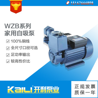 厂家直销WZB（550W）家用自吸泵电动增压泵半开式叶轮