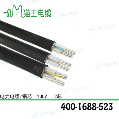 电力电缆/铝芯/二芯/YJLV/0.6/1KV/国标/电线电缆 /厂家直销