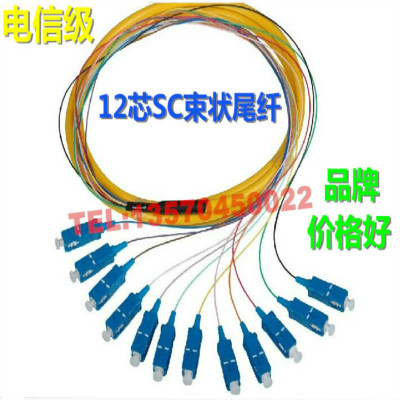 供应12芯SC单模束状尾纤  方头光纤跳线2米3米5米 SC尾纤电信级