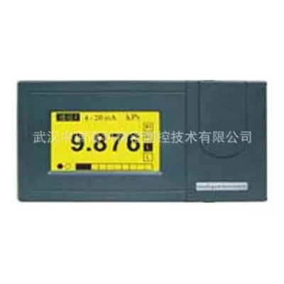 长期供应上润无纸记录仪 WP-R80L30040101A  单色无纸记录仪