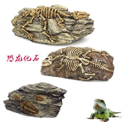 水族箱鱼缸摆件树脂工艺品恐龙树爬虫箱标本树脂骷髅头恐龙化石