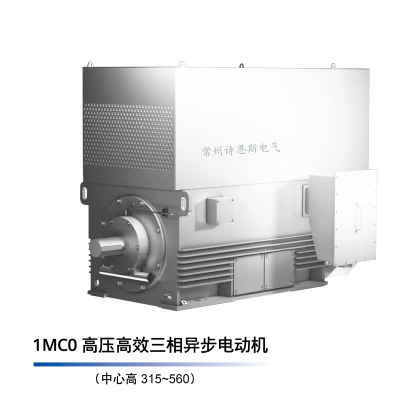 西门子高压电机 贝得高压高效三相异步电动机1CM0 6KV 50HZ IC611