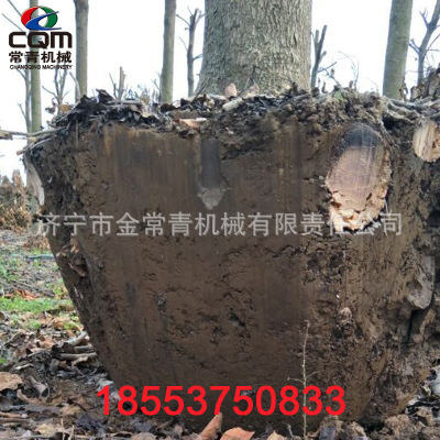常青挖树机 自动式移树机  CQM-600型挖树机 园林机械挖树断根机