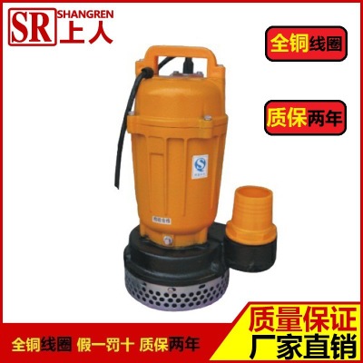 大量现货供应潜水泵 销售QD10-10-0.75清水型单相小型潜水泵