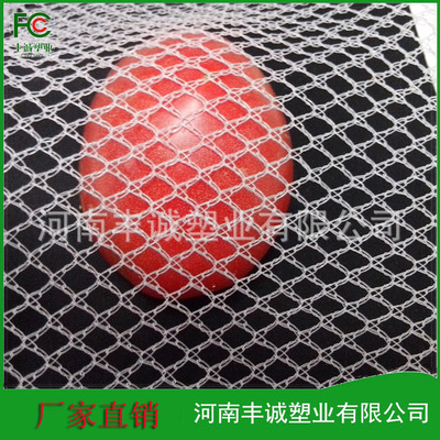 厂家直销苹果防雹网5mm,6mm,8mm,10mm网孔防雹网 白色塑料编织网