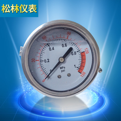 专业生产 纯水机专用耐震充油压力表1MPA 液压双针耐震压力
