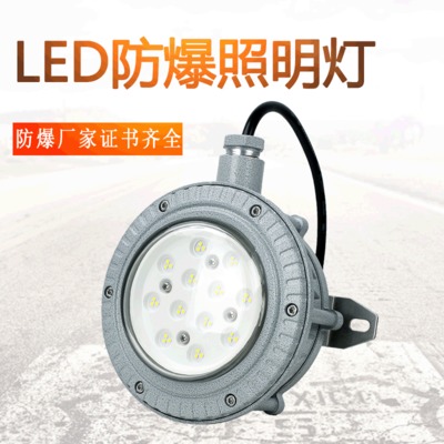 厂家直销 新款化工厂吸顶式LED防爆灯 免维护隔爆型10~30W照明灯
