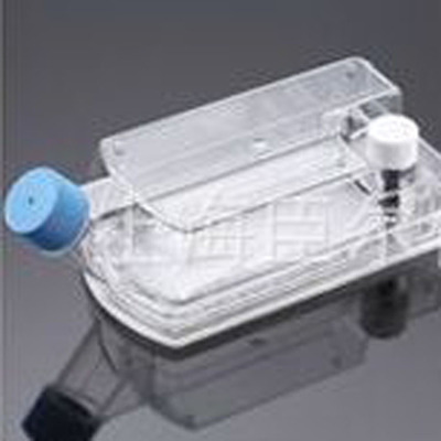 原装进口 供应美国BD细胞培养系列 细胞培养瓶
